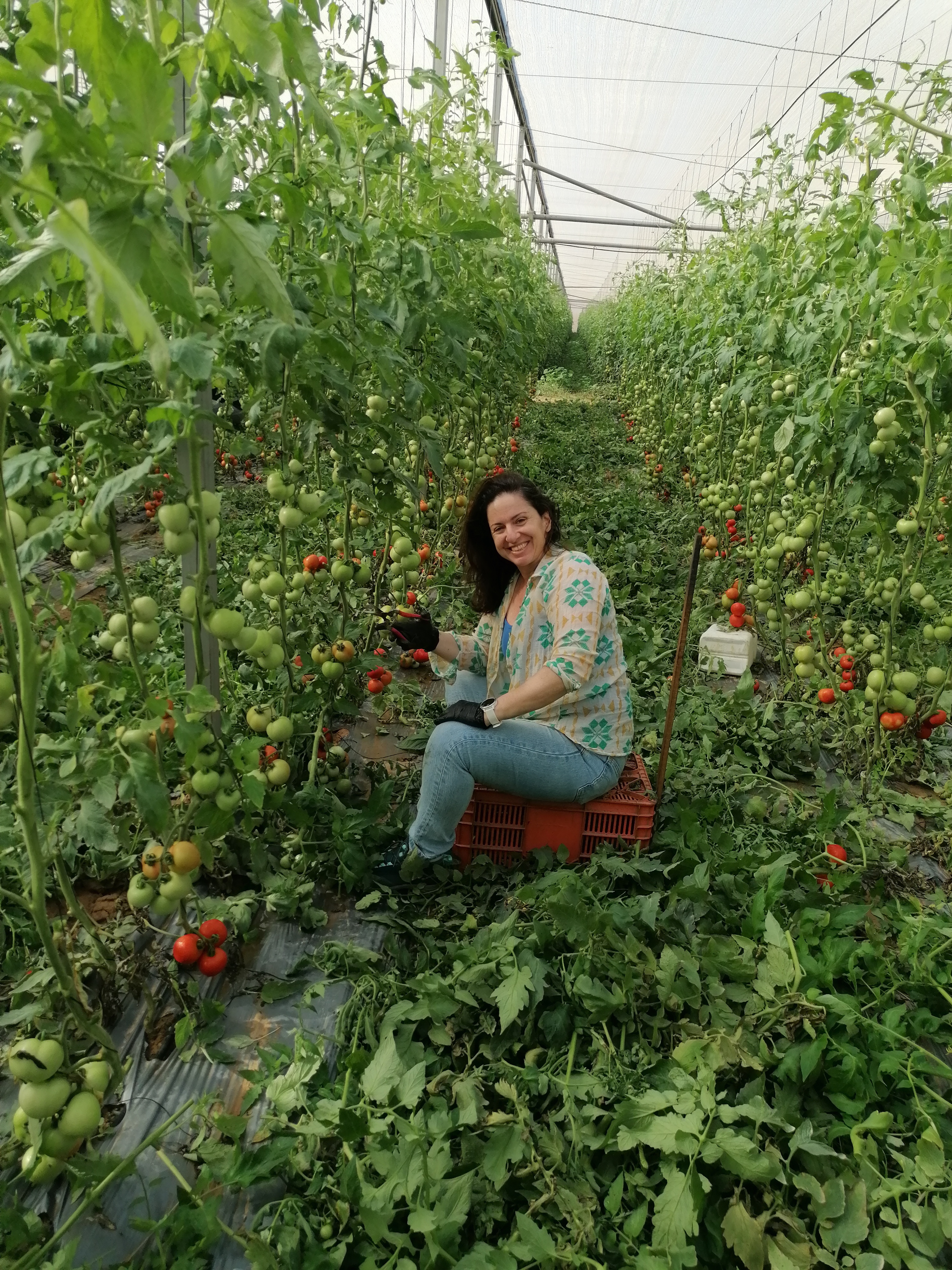 טיול לאורך הירקון מפגש ניסיוני לא פעיל